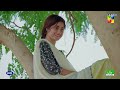 highlights zard patton ka bunn 2nd last ep 24 sajal ali u0026 hamza sohail hum tv