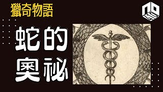 【神秘】EP79: 世界各地都有蛇嘅神話 呢種神秘又險惡嘅生物有乜魅力？【神秘星期三 : 獵奇物語】(廣東話)