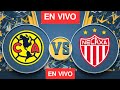 America vs Necaxa en vivo | futbolfemenil | partidos de hoy | Liga MX Femenil