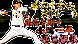 小川一平 奪三振集 威力十分のストレートを投げる姿をファンは待ってます!! (Ippei Ogawa)