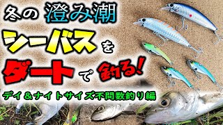 冬の澄み潮シーバスをダートで釣る！ - デイ\u0026ナイト サイズ不問数釣り編 - アイアンマービー 55、ZIPPY80s 実釣映像付き実釣ブログ