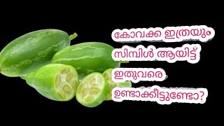 കോവക്ക ഇത്രയും സിമ്പിൾ ആയിട്ട് ഇതുവരെ ഉണ്ടാക്കിയിട്ടുണ്ടോ??/kovakka recipe malayalam/kovakka recipe