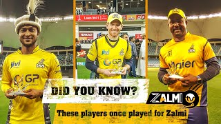 Did You Know? These players once played for Peshawar Zalmi in HBL PSL