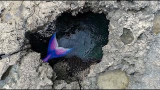 MERMAID SIGHTING CAUGHT ON VIDEO! RARE FOOTAGE