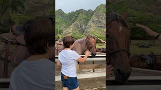 Kualoa Ranch Horses 🌺 Oahu Hawaii #shorts