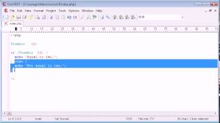 Beginner PHP Tutorial 19 if else if Statement