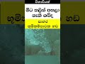 මේවා අහලා නැත්තන් වැඩක් නෑ.