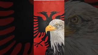 Albania world coming son , Kënga muzikore e flamurit shqiptar hitet