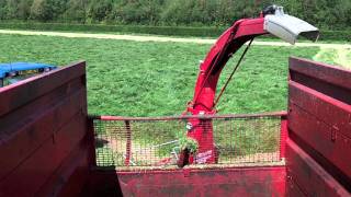 JF Chopping silage-  June 10 2011. Viewed from back of trailer