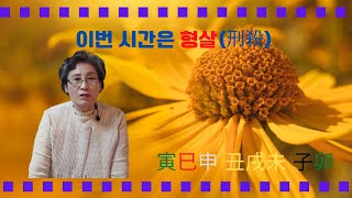 금오학당_사주명리학 초급 형살(刑殺)