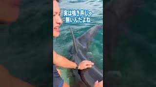 イルカには実は鳴き声がない!?!? #Shorts #動物