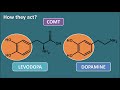 comt inhibitors in parkinson disease