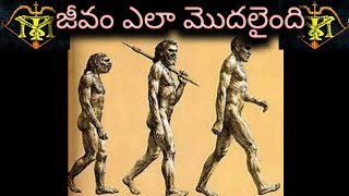 భూమి మీద జీవం ఎలా మొదలైంది /How life started on earth/ Facts