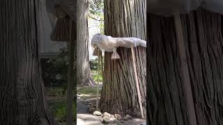 僕のパワースポット 唐松神社⛩️③