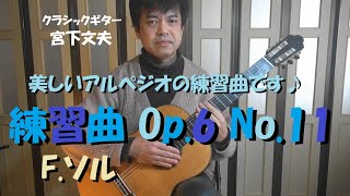 Etude Op.6 No.11 / F. Sor  ソルの練習曲  クラシックギター演奏：宮下文夫