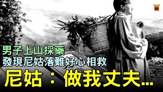 男子上山採藥，發現尼姑落難好心相救，尼姑：做我丈夫...#民間故事 #楓牛愛世界