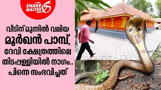 വീടിന് മുന്നിൽ വലിയ മൂർഖൻ പാമ്പ്,ദേവി ക്ഷേത്രത്തിലെ തിടപ്പള്ളിയിൽ നാഗം | Snakemaster EP 993