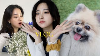 vlog.누가 꽃이게~? 본격 귀여운 것만 나오는 영상 ^_*｜작업실 꾸미기,포메라니안 봉순이,개떼놀이터