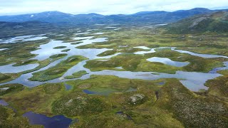 DJI Mini 2 Drone Footage | Vildmarksvägen - Stekenjokk - Duoranjaureh - Röberg