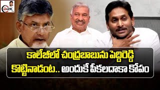 కాలేజీ రోజుల నుండి పెద్దిరెడ్డి అంటే చంద్రబాబుకి కోపం - వైయస్ జగన్