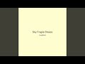 Sky Fragile Breeze