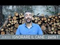 Ignorare il cane - parte 1