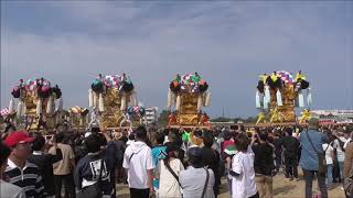 土居秋祭り２０１９　関川河川敷本部後　東天満、蕪崎、下天満、上天満太鼓台