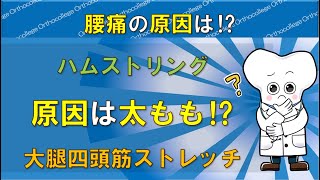 腰痛の原因は太もも⁉ ハムストリングや大腿四頭筋の柔軟性を高める体操 【医師が解説】