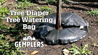 Tree Diaper Tree Watering Bag | Watering and Irrigation Solutions from Gemplers