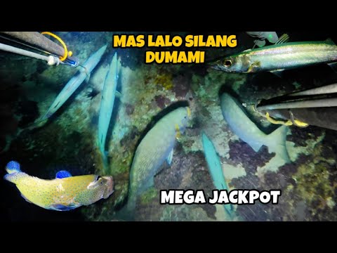 EP 310: MAS LALO SILANG DUMAMI MEGA JACKPOT Night Spearfishing Philippines