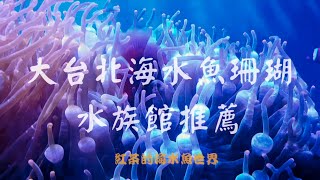 大台北海水魚珊瑚水族館推薦，台北必逛的海水魚店！假日的好去處！水族地圖 Taipei Aquarium store Introduction｜紅茶的海水魚世界