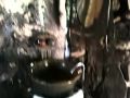 IMG_0045.MOV