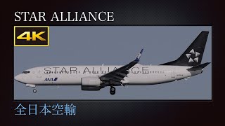 4K 日の入り前の新潟空港に飛来する、特別塗装機(STAR ALLIANCE) : 全日本空輸(All Nippon Airways : ANA)  Boeing 737-881  JA51AN