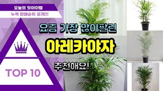 아레카야자 추천 판매순위 Top10 || 가격 평점 후기 비교