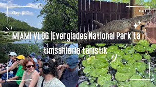 Miami Everglades Turu | Timsahlarla Dolu Doğal Yaşamı Keşfettik! | Vlog 🐊🐍🌿