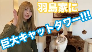 羽島めいが巨大キャットタワー組み立ててみた