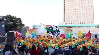 静岡大学よさこいサークル お茶ノ子祭々 @ 浜松がんこ祭 (浜松城公園B) 2019-03-09T17:06