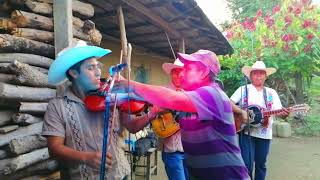 El guajolote.  Trio Suspiro Huasteco de El Gavilan en Maguey Maguaquite 2021
