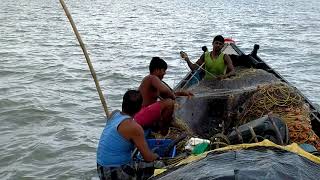 Sundorbon er Matla River সুন্দরবনের মাতলা নদী