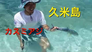 久米島はての浜カスミアジリリース！すぐ行っちゃう編！