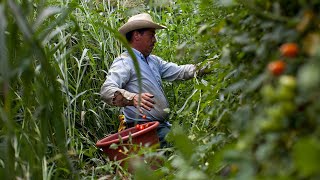 Life on the Other Border: Farmworkers and Food Justice in Vermont