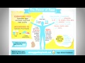 why eggs are bad for you in 60 seconds