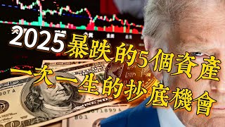 2025貶值最狠的5個資產，做好一生一次的抄底準備了嗎？如果你擁有這些資產，小心變得一無所有？資產下跌反而是賺錢最快的時機？