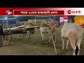 rajasthani fair in kolkata লোক সংস্কৃতি সংস্থানের ২২তম রাজস্থানি মেলা zee 24 ghanta