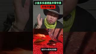 小魚多多底栖魚半葷半素飼料 黃金大鬍子飼料 異型魚飼料 鼠魚飼料 #aquarium #pleco