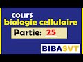 La biologie cellulaire Ep25: le cycle de vie des mitochondries