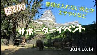 サポーターイベントワオキツネザル(姫路市立動物園)