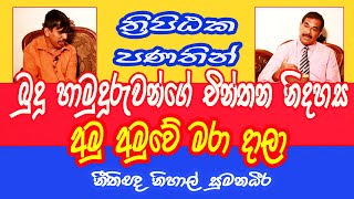 Thripitaka /චින්තන නිදහස අමු අමුවේ මරා දාලා /Thotawaththa /Nihal Sumanadeera/Sathya Vlogs /Sri Lanka