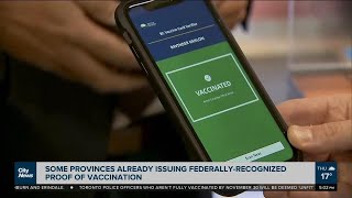 Federal vaccine passports arrive