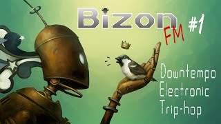 Bizon FM #1 -  Downtempo, Electronic, Trip-hop